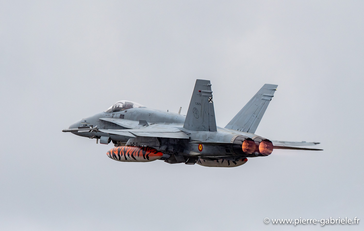 f18-g93_0465.jpg