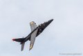alphajet-g93_0858