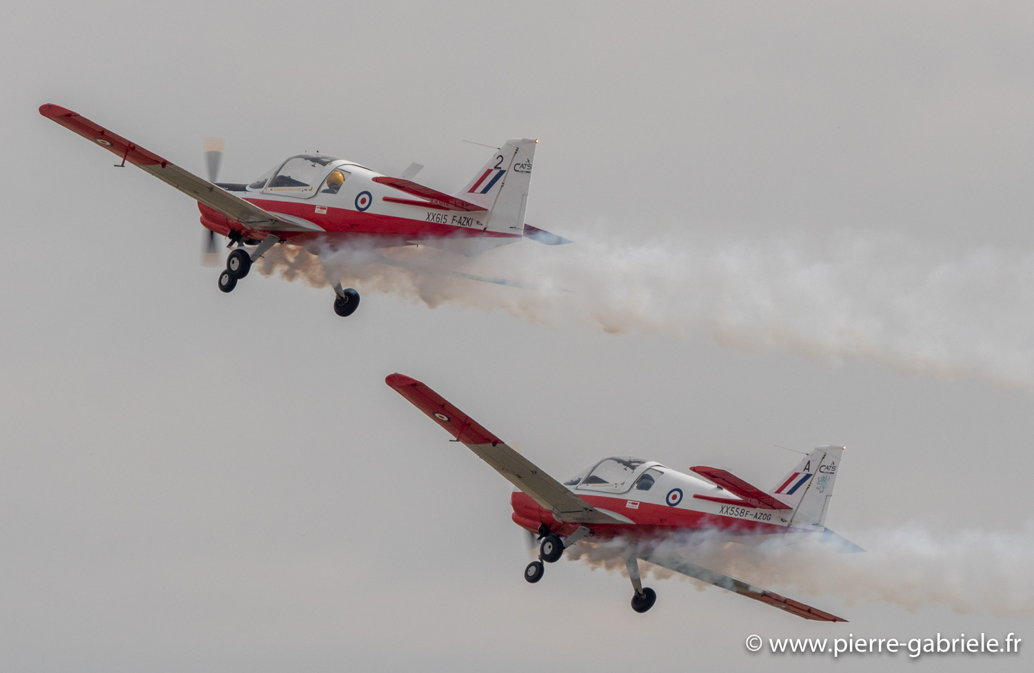 bulldog-g93_1114.jpg