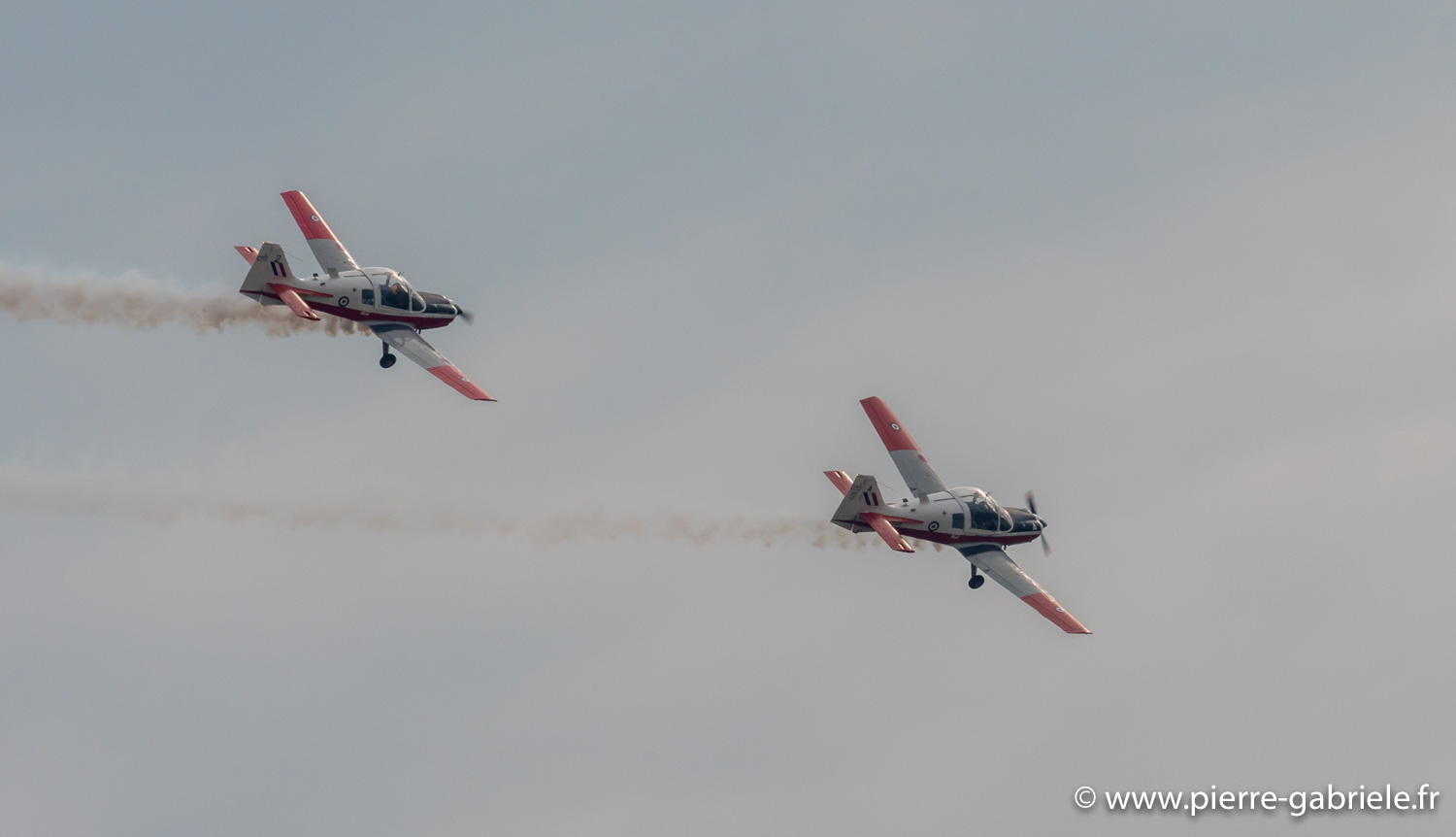 bulldog-g93_1122.jpg