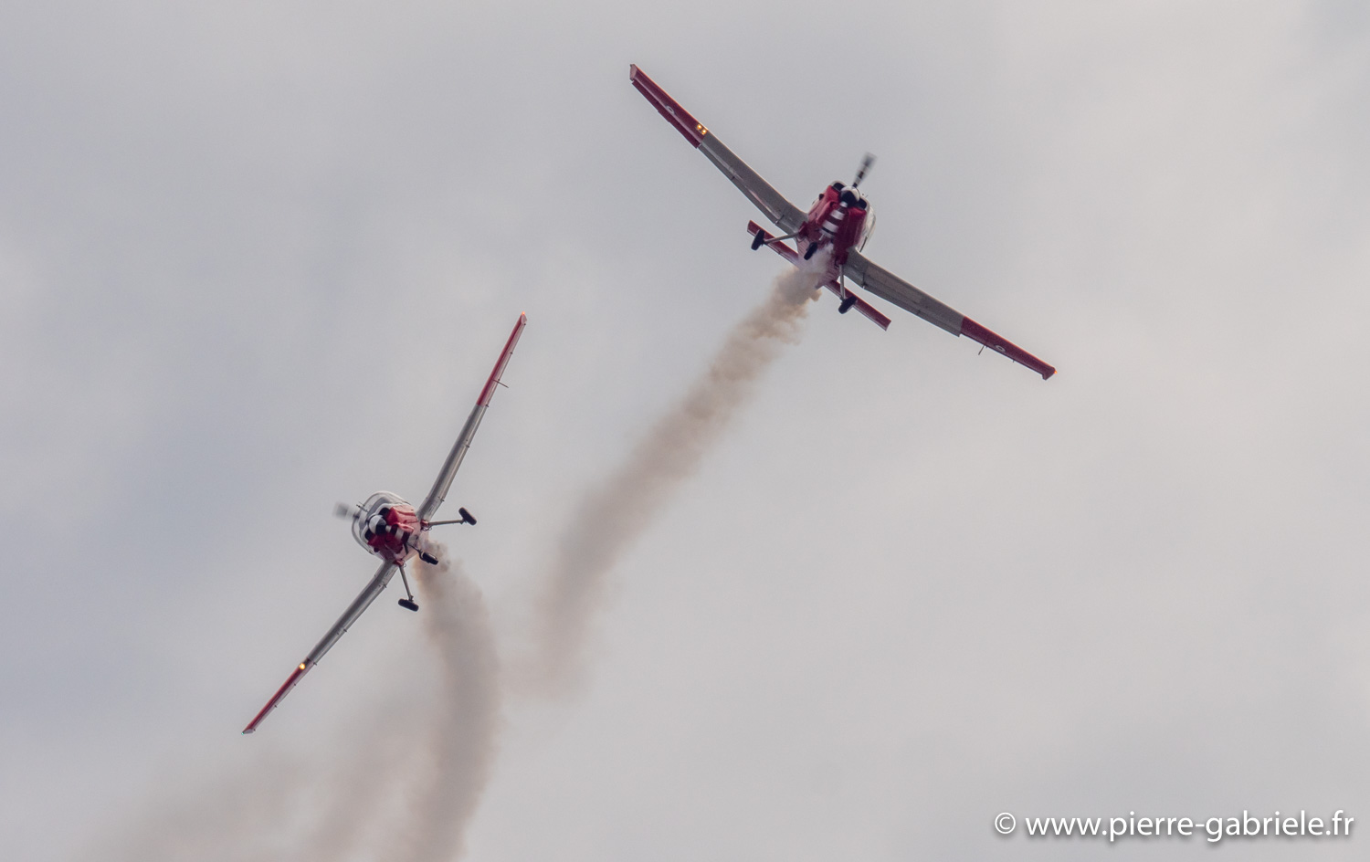 bulldog-g93_1124.jpg