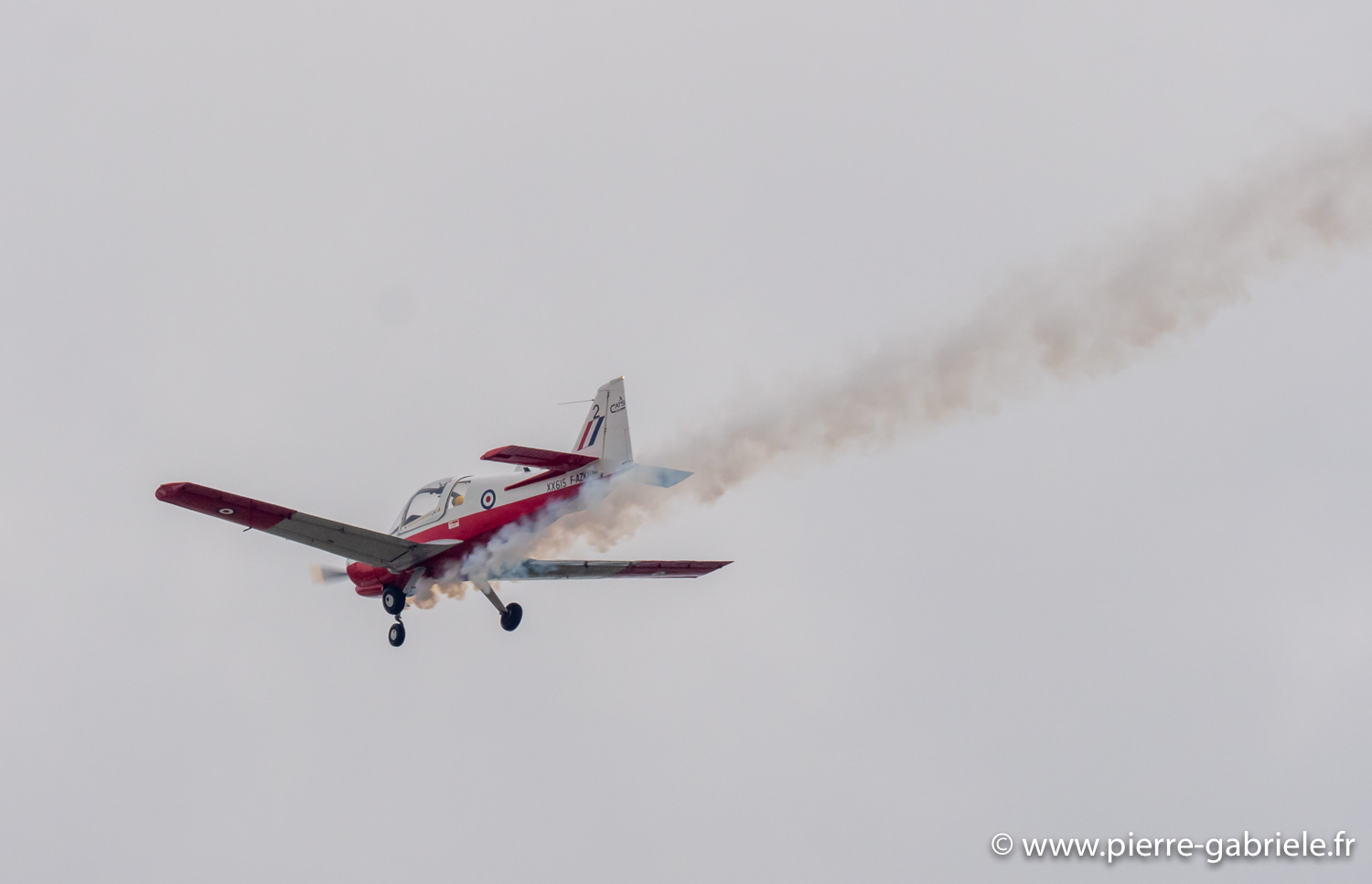 bulldog-g93_1126.jpg