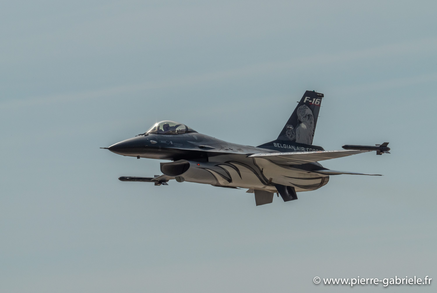 f16-g91__5817.jpg
