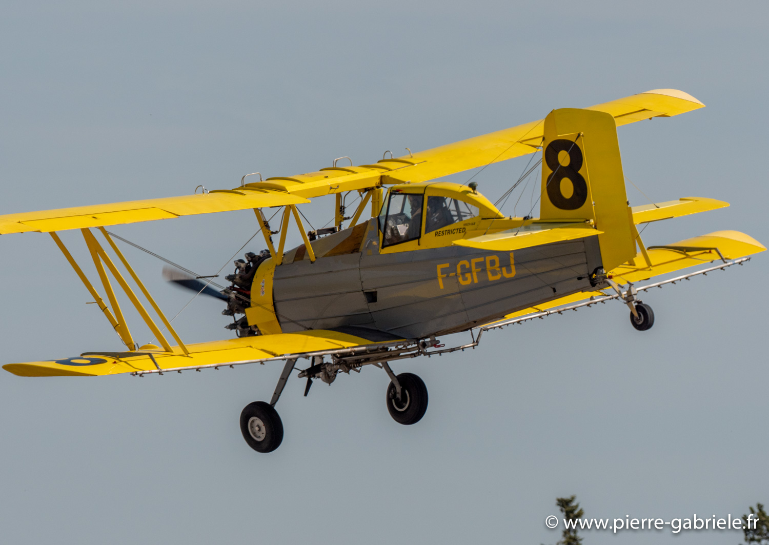 grumman-g.164a-g93_0638.jpg