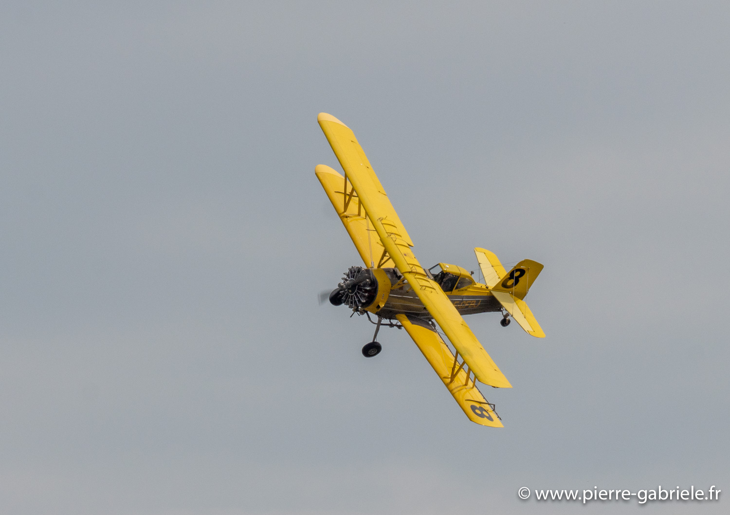 grumman-g.164a-g93_1189.jpg