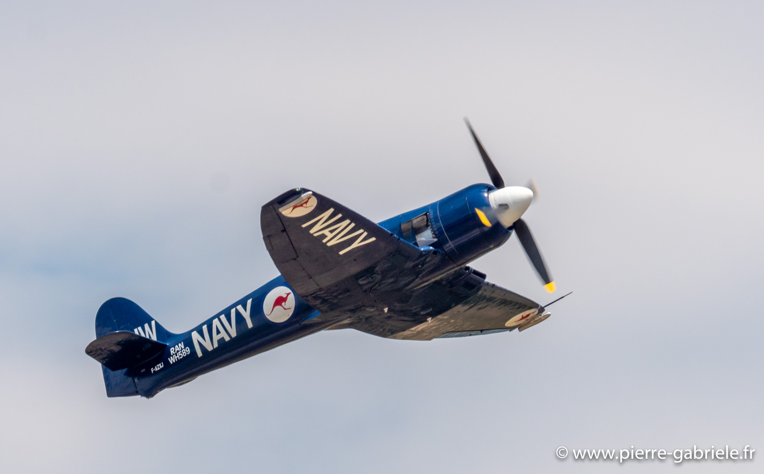 seafury-g93_1488.jpg