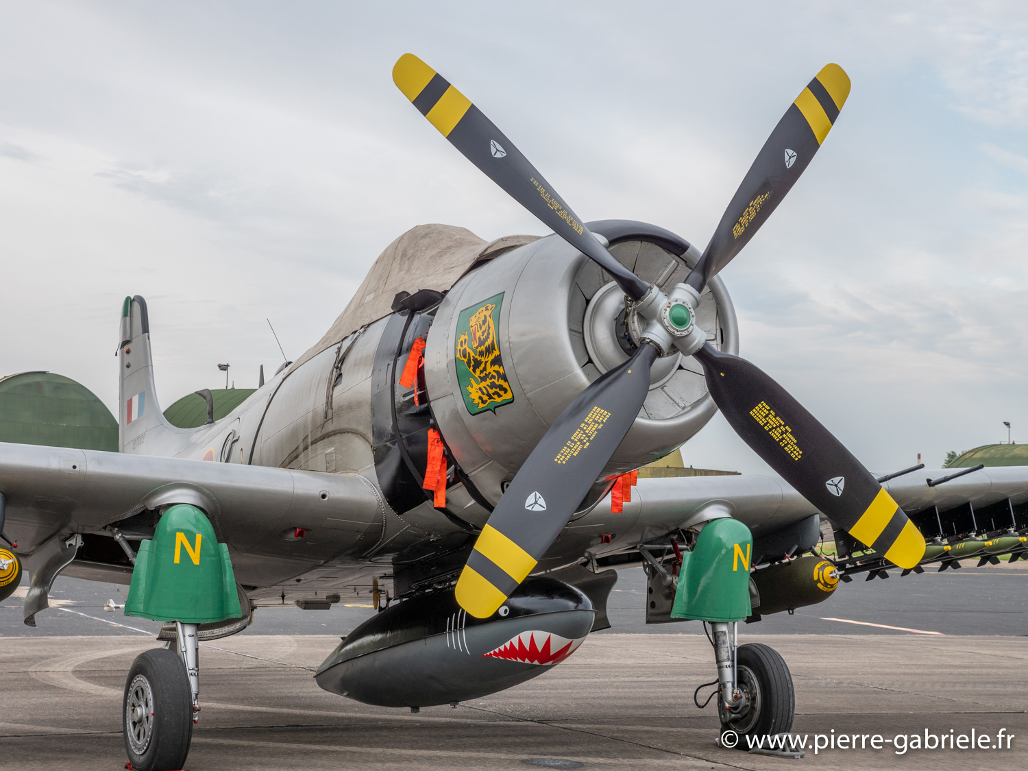 skyraider-g92_9835.jpg