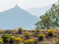 nature-g93_0702