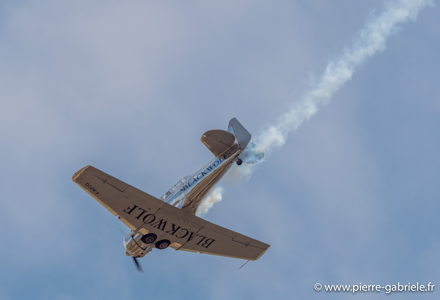 t6-g93_1452.jpg