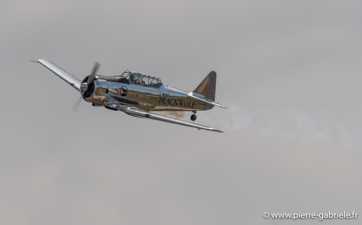 t6-g93_1457.jpg