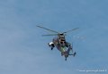 tigre-g93_0789