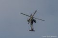 tigre-g93_0790