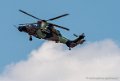 tigre-g93_0792