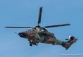 tigre-g93_0794