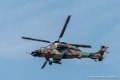 tigre-g93_0797