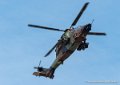 tigre-g93_0799