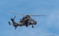 tigre-g93_0801