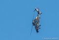 tigre-g93_1513