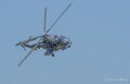 caracal-a74n_02852