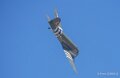dc3-a74n_02661