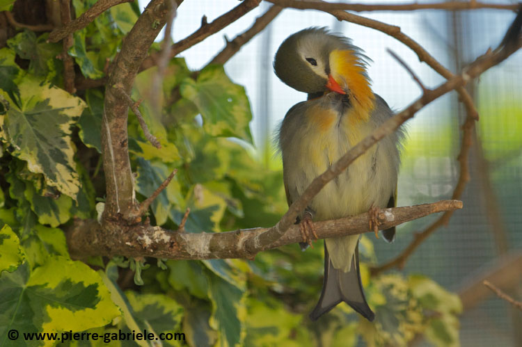 faune_7657.jpg