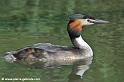 faune_7623