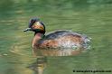 faune_7626