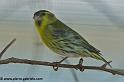 faune_7654