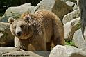 ours_7713