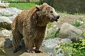 ours_7717