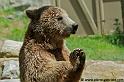 ours_7720