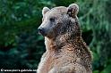 ours_7721