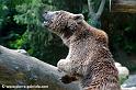 ours_7723