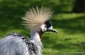 asson_0004