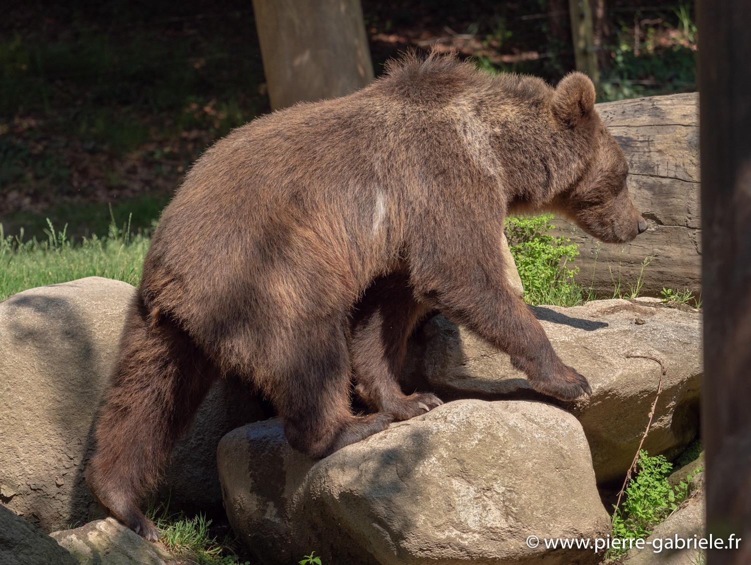 ours-g91_4055.jpg