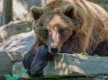 ours-gh6_2534