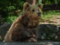 ours-gh6_2539