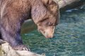 ours-a74n_00284