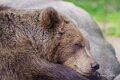 ours-a74n_00295