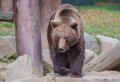 ours-a74n_00298