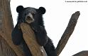 ours_5569