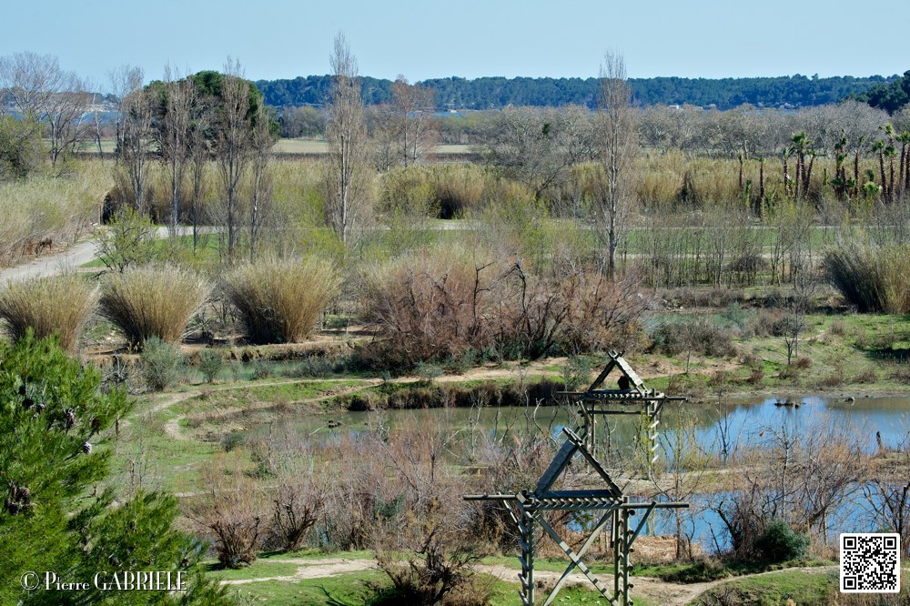 reserve_7004.jpg