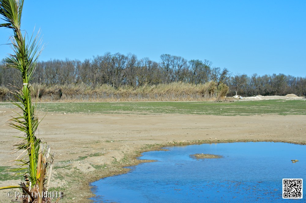 reserve_7011.jpg