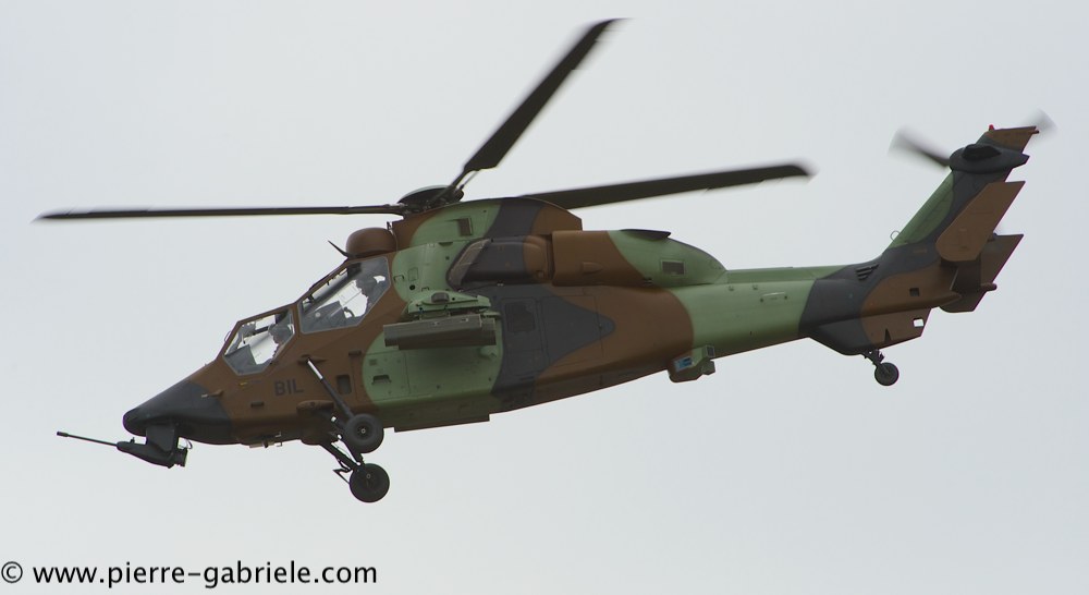 ec665-tigre_4184.jpg