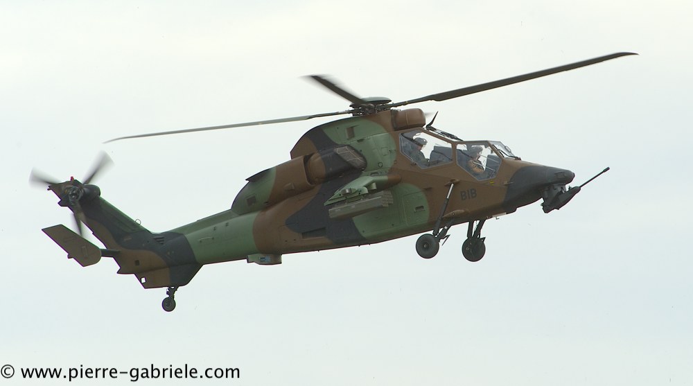 ec665-tigre_4210.jpg