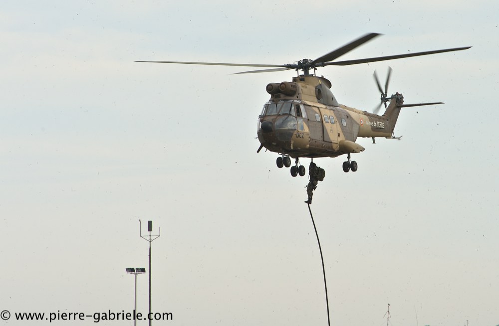 sa330-puma_4206.jpg