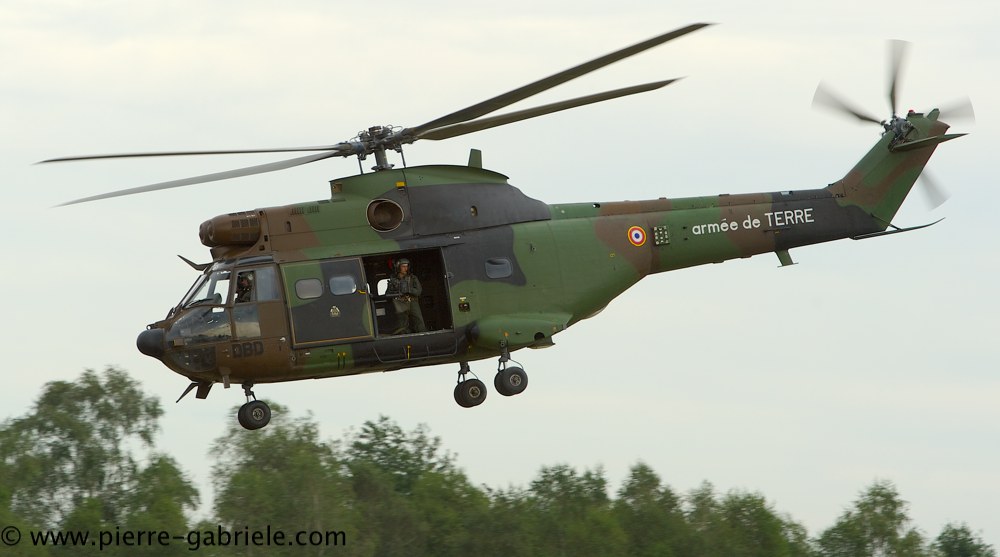 sa330-puma_4240.jpg