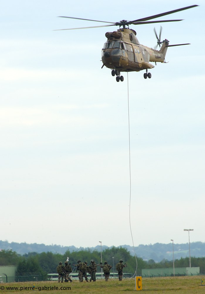 sa330-puma_4246.jpg