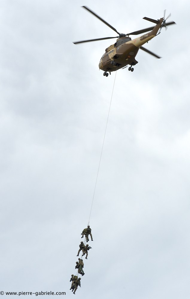 sa330-puma_4247.jpg
