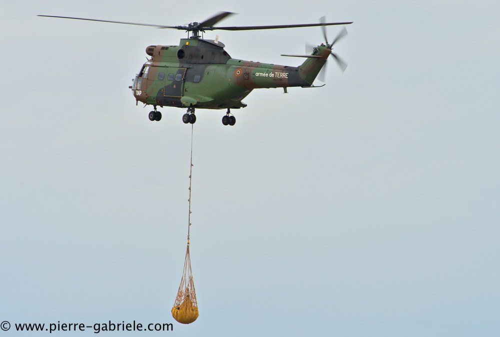 sa330-puma_4254.jpg